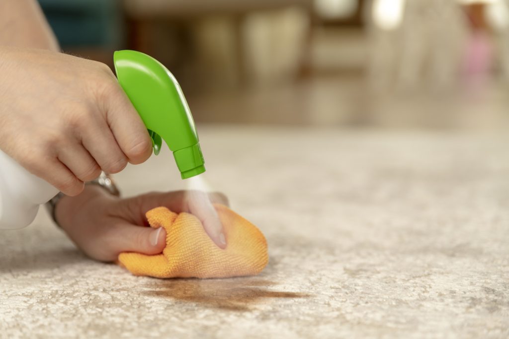 Carpet - Decor, Stained, Removing, Stain Test, Cleaning